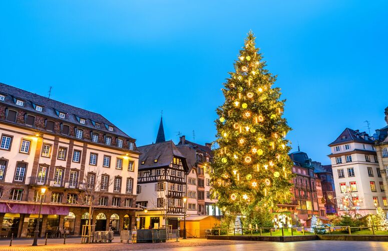 Elit Alsace İsviçre Noel Pazarları Turu THY ile 3 Gece Ekstra Turlar Dahil ( ZRH - GVA )