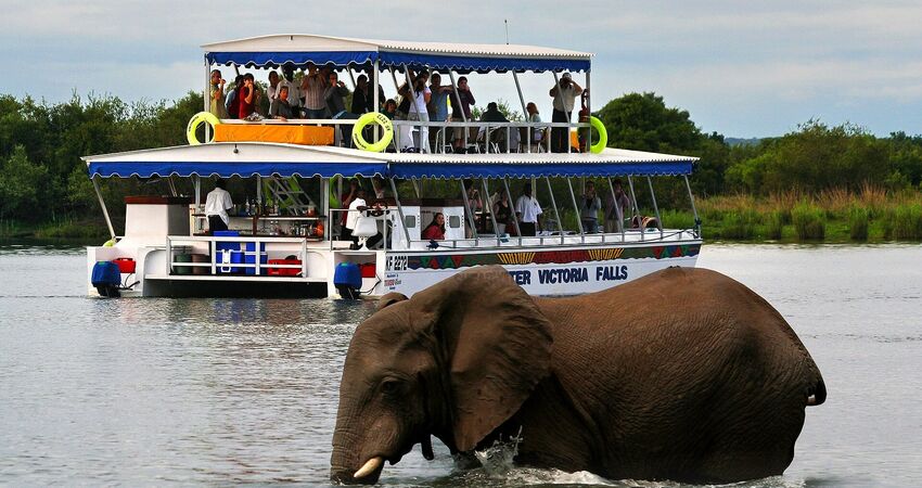 Dolu Dolu Güney Afrika & Botsvana & Victoria Şelaleleri Turu Rotası