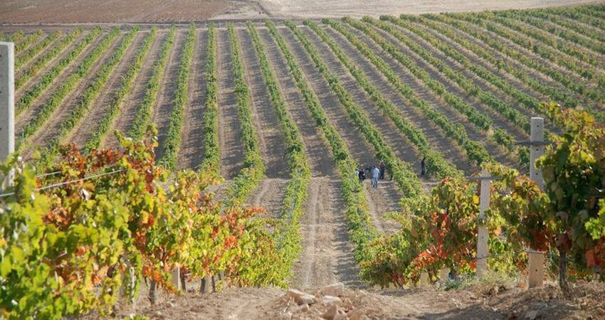 Denizli'nin Saklı Rotası : Çivril Çal Buldan Turu 