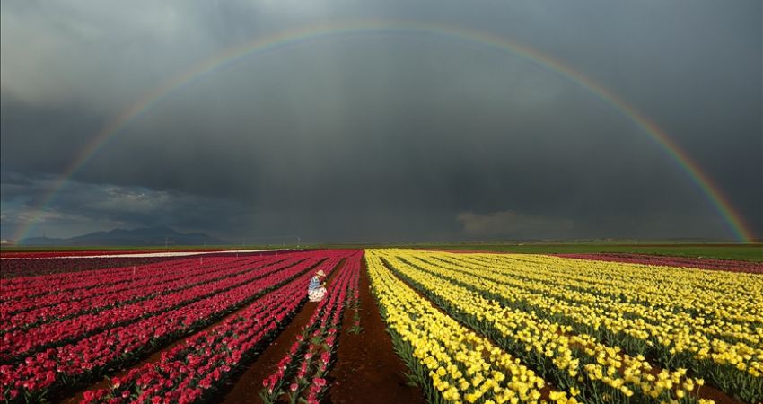 Hızlı Tren İle Lale Tarlaları Karaman Göksu Şelalesi Turu