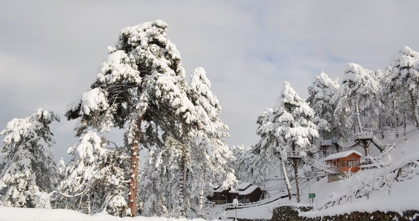 Karlar Altında Yenice Ormanları Turu