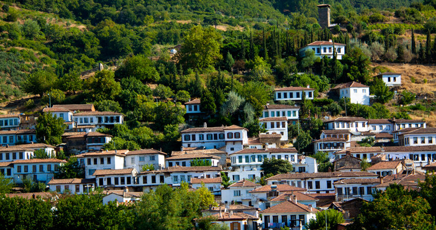 Ankara Çıkışlı Efes'de Bir Gece Urla'da Bağ Bozumu Turu