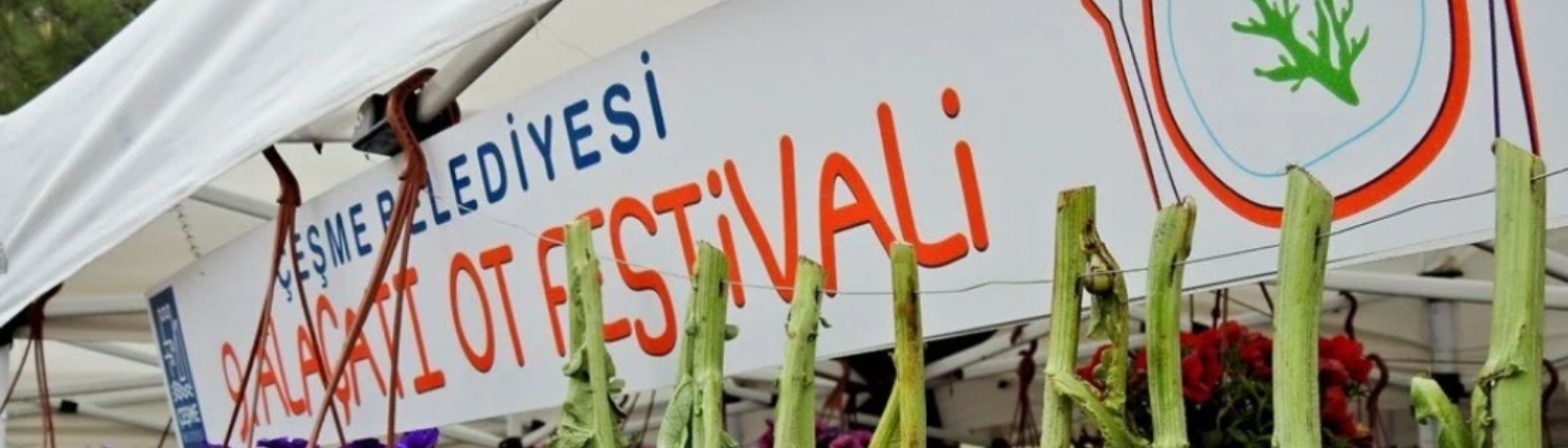 Alaçatı Ot Festivali Turu 