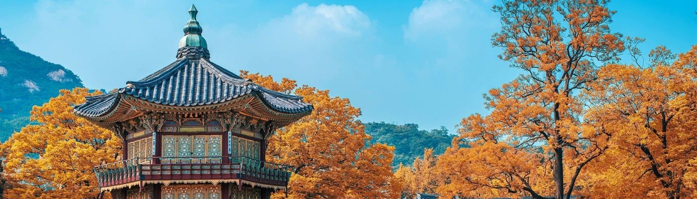 Elit Japonya Kore Turu THY ile 7 Gece Ekstra Turlar Dahil 14 Ağustos Çıkışlı