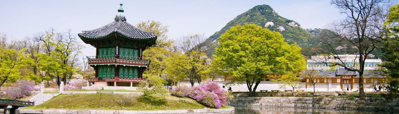 Elit Japonya Kore Turu THY ile 7 Gece Ekstra Turlar Dahil 30 Ağustos Dönemi