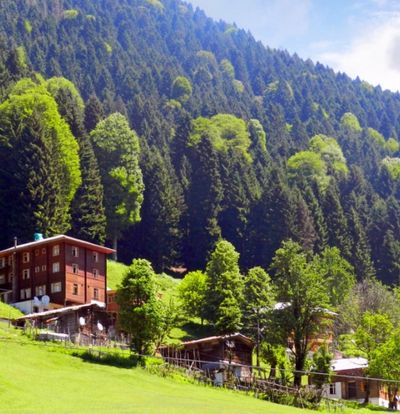Baştan Sona Doğu Karadeniz Yaylalar ve Batum Turu ( 5 gece )